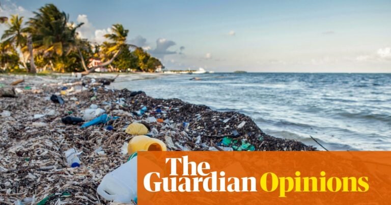 The Guardian view on the collapse of environmental talks: petrostates blocked a global plastics deal, but we must not despair | Editorial