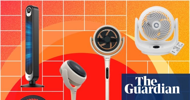 The best fans to keep you cool: 15 tried and tested favourites to beat the heat | Summer