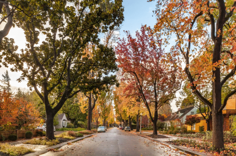 The hidden cost of living amid Mark Zuckerberg’s $110M compound The hidden cost of living amid Mark Zuckerberg's $110M compound