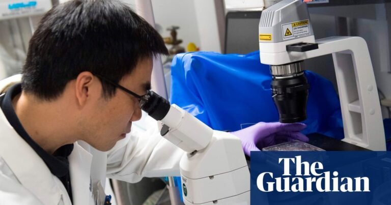 Trump cuts to science research threaten his administration’s own AI action plan | Trump administration