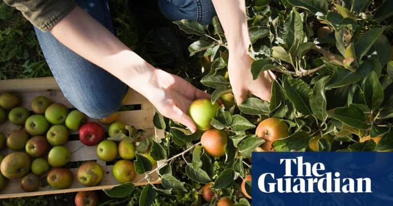 UK agriculture students: share your experiences | Agriculture