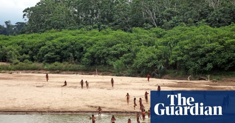 Uncontacted Peruvian tribe on deadly collision course with loggers, group says | Peru