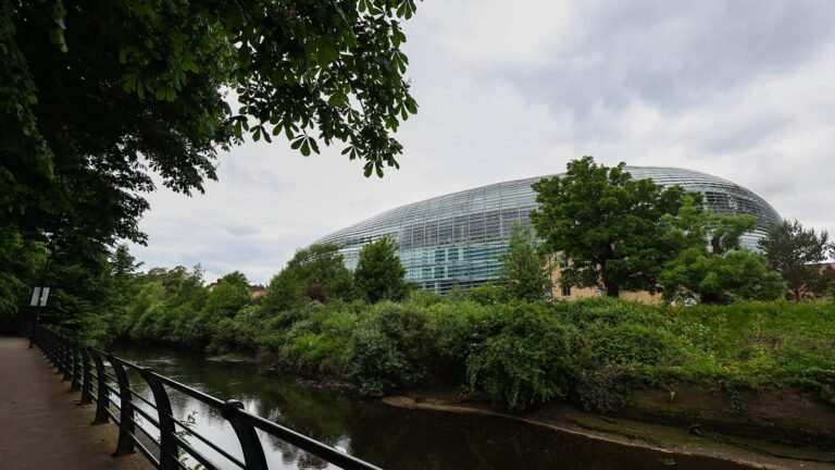 Watch Online, Start Time 2025 Watch Online, Start Time 2025