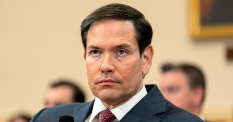 What are H-1B visas and how might the Trump administration change them? | Donald Trump News