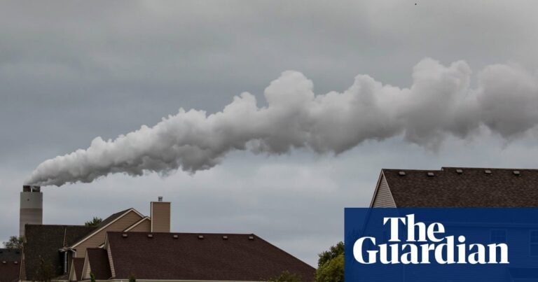 Young climate activists in Wisconsin sue state over pro-fossil fuel policies | Wisconsin