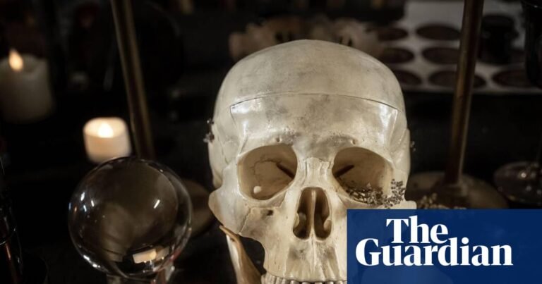 ‘It’s gruesome’: fears of grave-robbing amid rise in sale of human remains | Archaeology