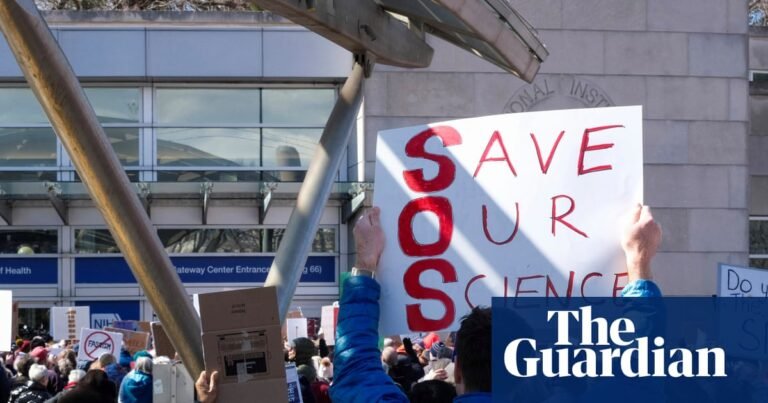 ‘It’s really, really bad right now’: NIH scientists dismayed by Trump cuts | Trump administration
