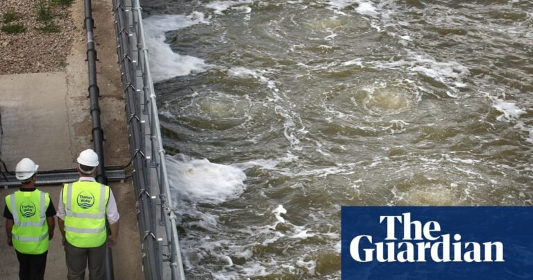 £500m Thames Water desalination plant has provided just seven days’ water over 15 years | Thames Water