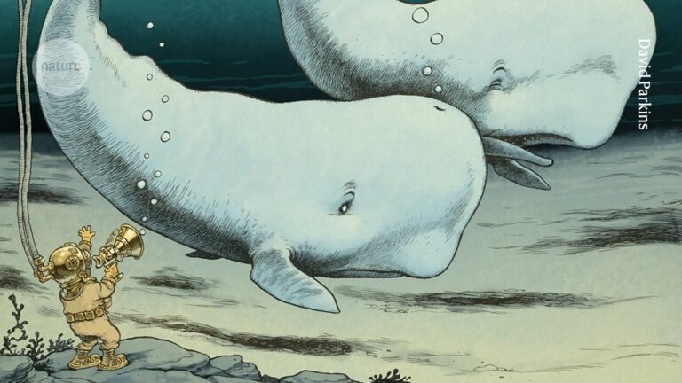 AI is helping to decode animals’ speech. Will it also let us talk with them?