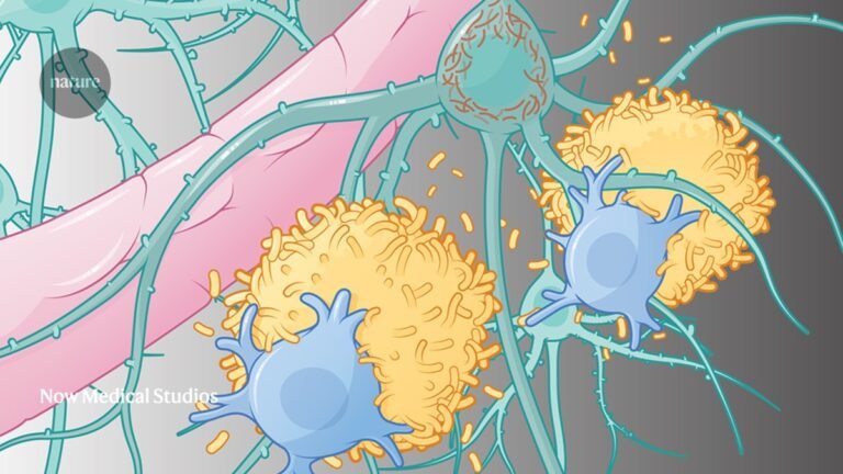 Alzheimer’s Drugs Are Finally Tackling the Disease Itself. Here’s How