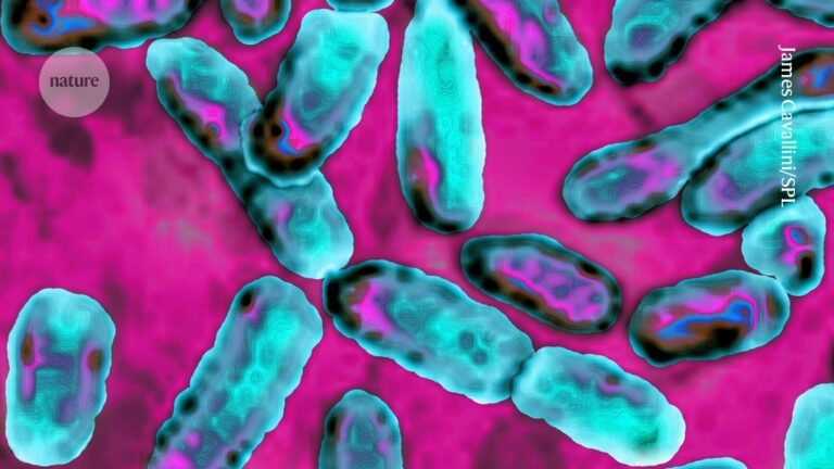 Common air pollutant has a secret weapon: bacterial toxins