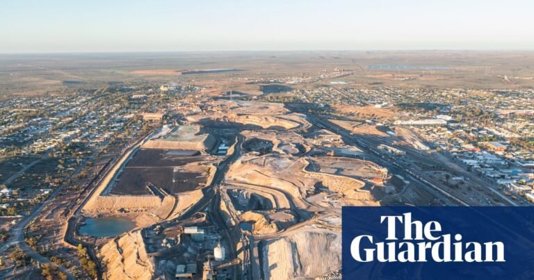 Environment watchdog buried report on lead in children’s blood to placate mining companies, emails show | New South Wales