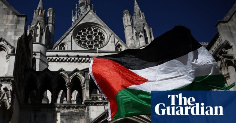 Fate of hundreds arrested for alleged Palestine Action support in limbo if challenge to ban is blocked, court told | Palestine Action