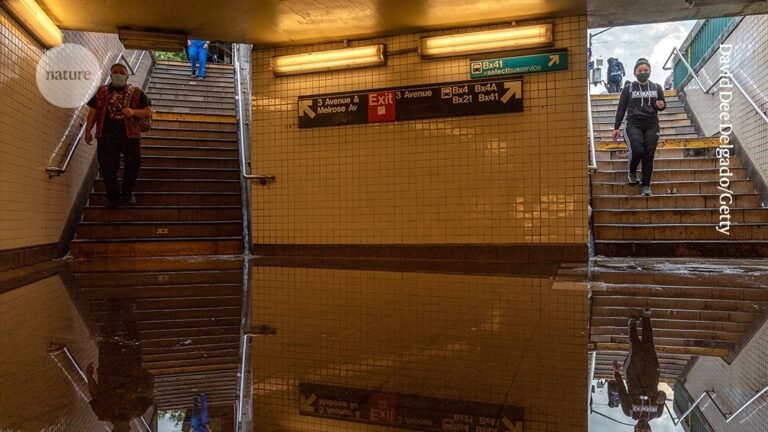 Fighting climate change takes more than data — it needs wonder, love and hope