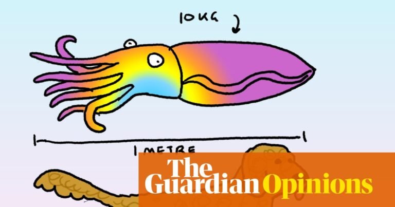 Giant cuttlefish! They are in danger and scientists are going to save them with … bubbles! | First Dog on the Moon