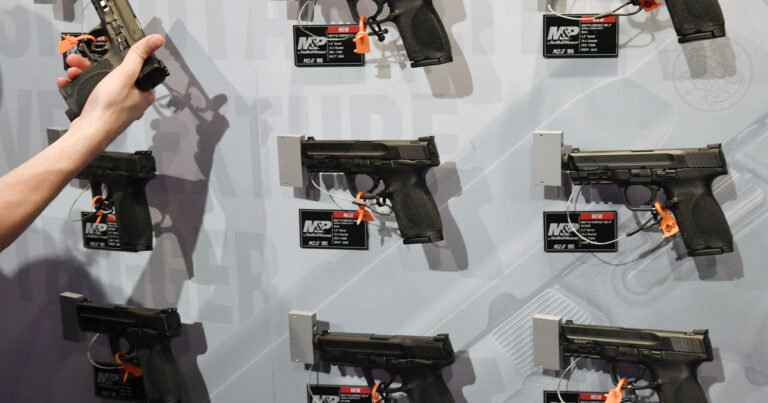 Gun Industry Group Violated Firearm Owners’ Rights, Lawsuit Alleges — ProPublica