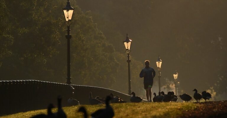 How People Make the Most of Their Mornings How People Make the Most of Their Mornings