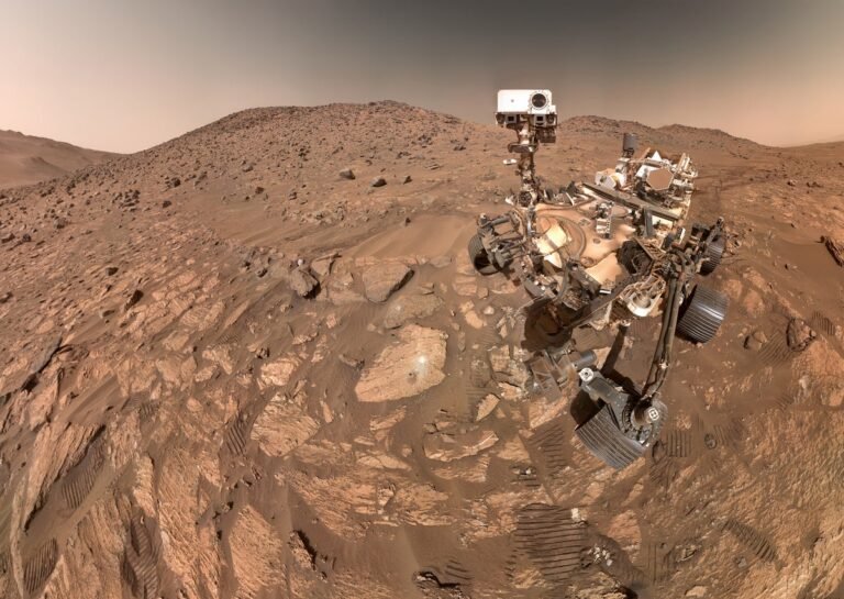 Is There Life on Mars? This Rock May Hold the Answer