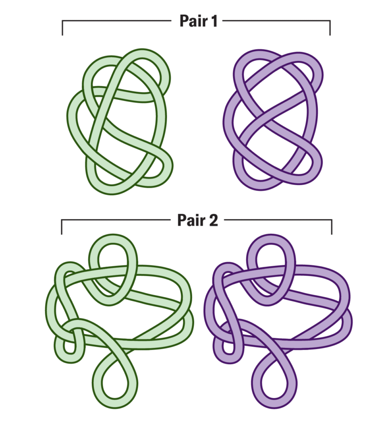 Math Puzzle: Find the Unknot