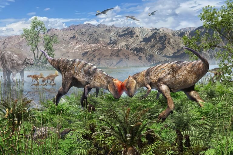 Oldest Known Pachycephalosaur Fossil Discovered in Mongolia