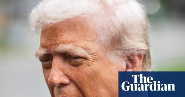 Plan to slash US steel tariffs shelved hours before Donald Trump’s UK visit | Trade policy Plan to slash US steel tariffs shelved hours before Donald Trump’s UK visit | Trade policy