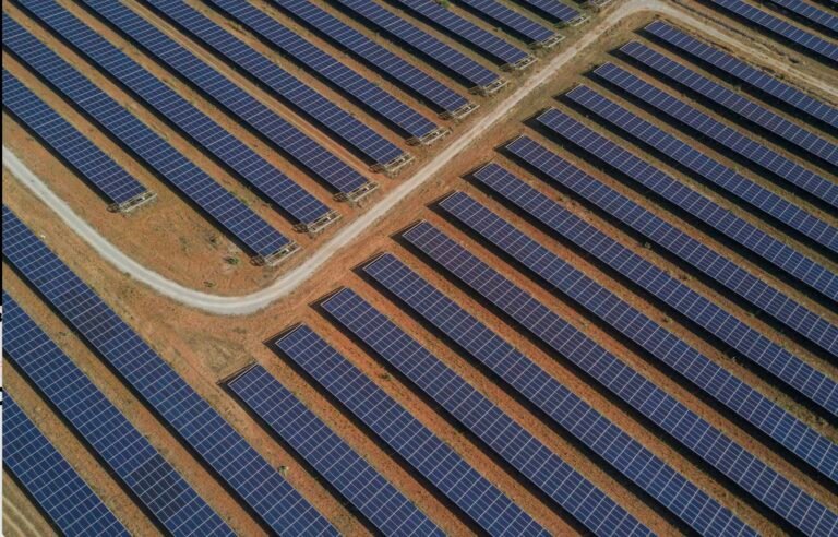 Power shift: Should investors pay attention to renewable energy adoption? | Insights Solar panel field