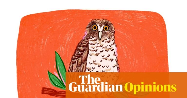 Powerful owls’ grisly crime scenes in urban parkland remind us we share suburbia with a magnificent predator | Wendy Frew