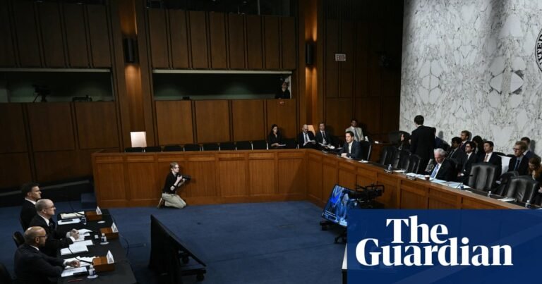 Rinse and repeat: US vaccine hearing on unpublished study debates same myths | US healthcare