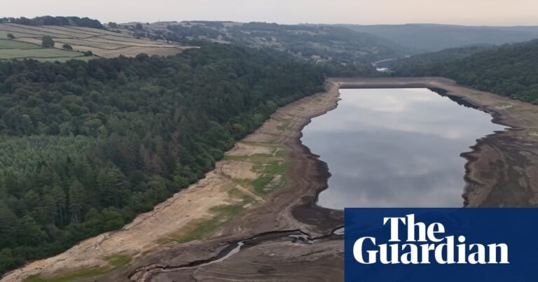 Summer 2025 was hottest on record in UK, says Met Office | UK weather