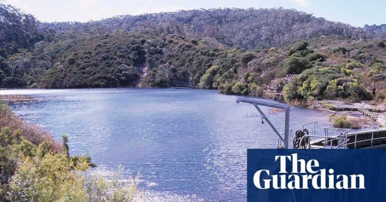 Sydney Water failed to properly test before declaring ‘no known Pfas hotspots’ in catchments, inquiry finds | Pfas