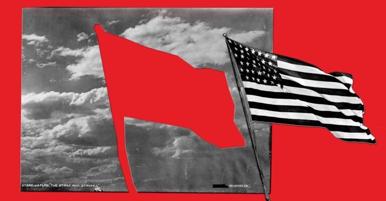 The Race to Save America's Democracy