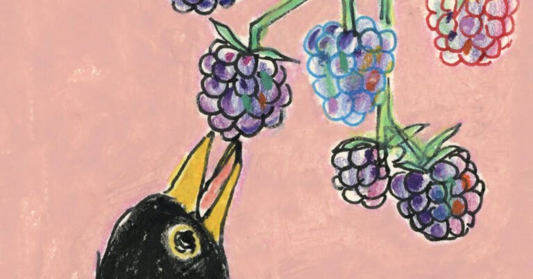 The Wildest Blackberry Poems by Emily Dickinson, Sylvia Plath, Seamus Heaney and Others