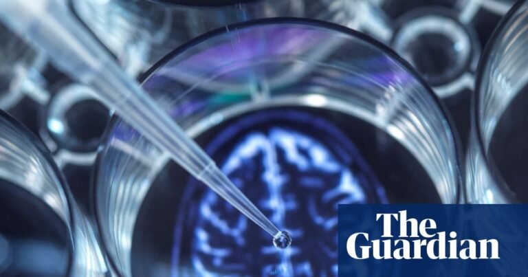 UK universities cut back on crucial research because of reduced funding | Research funding