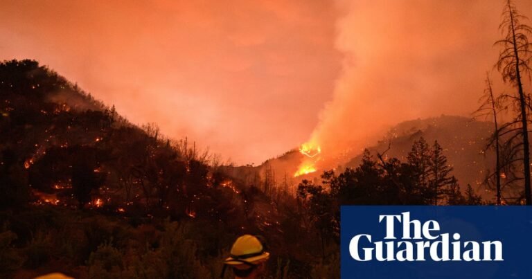 Vineyards assess damage as wildfire rips through California wine country: ‘a devastating situation’ | California wildfires Vineyards assess damage as wildfire rips through California wine country: ‘a devastating situation’ | California wildfires