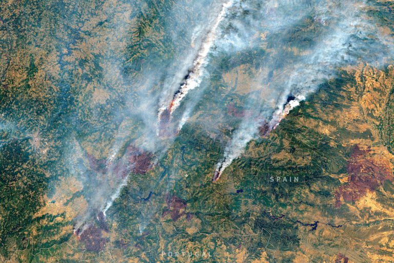 Warming Made Hot, Dry Weather That Fueled Iberian Wildfires 40 Times More Likely Warming Made Hot, Dry Weather That Fueled Iberian Wildfires 40 Times More Likely