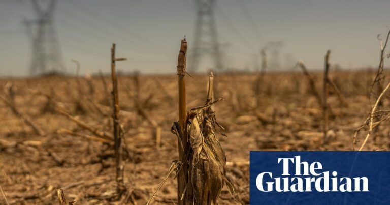 Weatherwatch: Flash droughts come on quickly but effects can wreak havoc | Drought