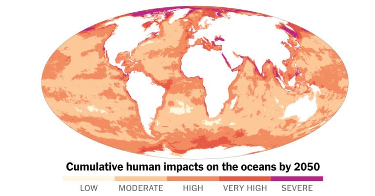 What the Future Ocean Might Look Like Amid Climate Change, Overfishing and More What the Future Ocean Might Look Like Amid Climate Change, Overfishing and More
