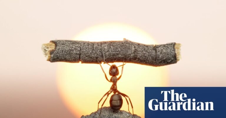 Why everyone is lifting weights – and how to get started (whatever your size) | Fitness