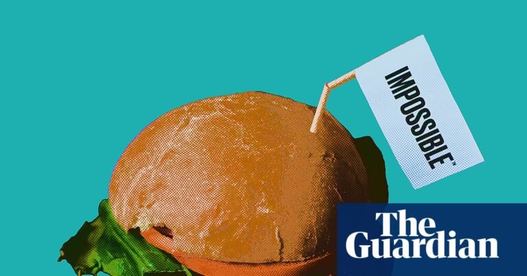 Why vegan burgers are losing the US culture war over meat: ‘Not our moment’ | Food Why vegan burgers are losing the US culture war over meat: ‘Not our moment’ | Food