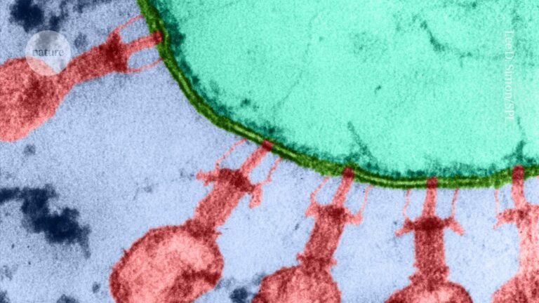 World’s first AI-designed viruses a step towards AI-generated life