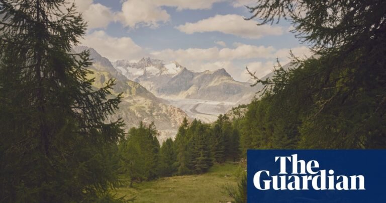 ‘Like walking through time’: as glaciers retreat, new worlds are being created in their wake | Glaciers ‘Like walking through time’: as glaciers retreat, new worlds are being created in their wake | Glaciers