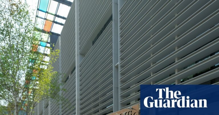 ‘Paying twice’: workers face NHS bills of thousands in immigration crackdown | Immigration and asylum