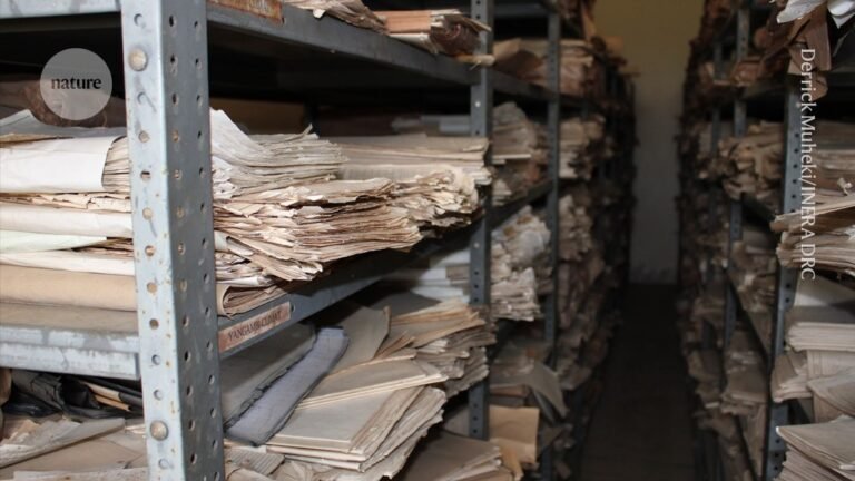 ‘Revolutionary’ AI tools rescue old weather data to improve climate models