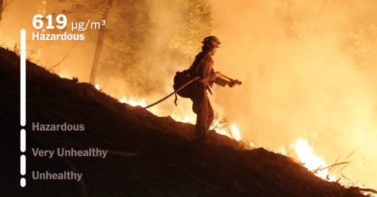 12 Hours in the Smoke