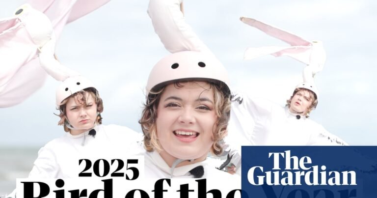 2025 Australian bird of the year voting is open! Here's how to vote – video