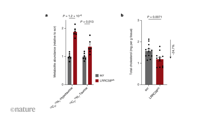 A pathway that controls conversion of the amino acid cysteine into a cholesterol regulator A pathway that controls conversion of the amino acid cysteine into a cholesterol regulator