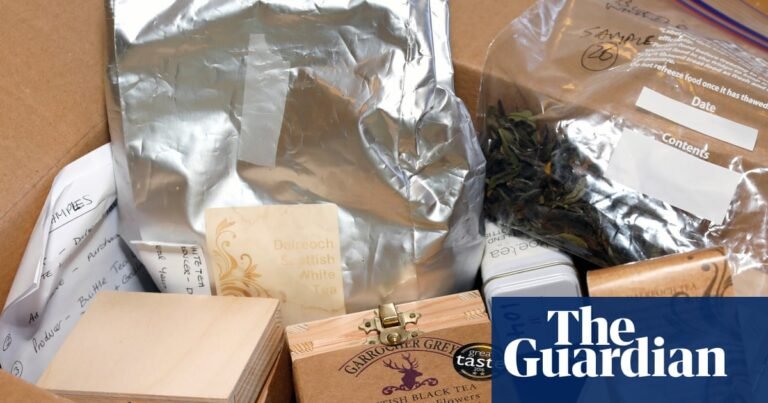 A strange brew: the case of the man behind an audacious Scottish tea fraud | Scotland
