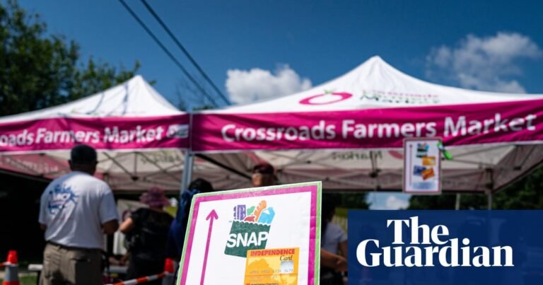 Americans brace for food stamps to run out: ‘the greatest hunger catastrophe since the Great Depression’ | US federal government shutdown 2025