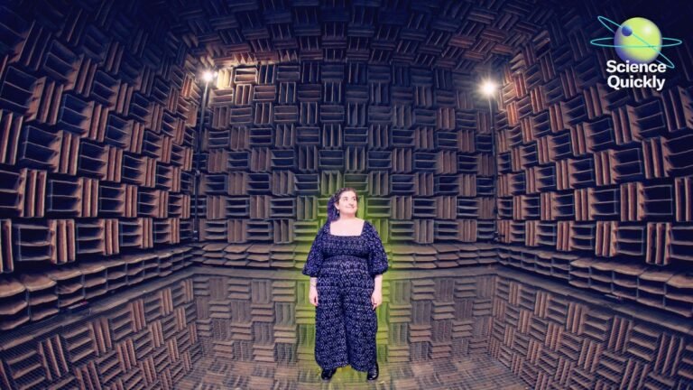 An Anechoic Chamber at Nokia Bell Labs Reveals the Hidden Sounds of Your Body
