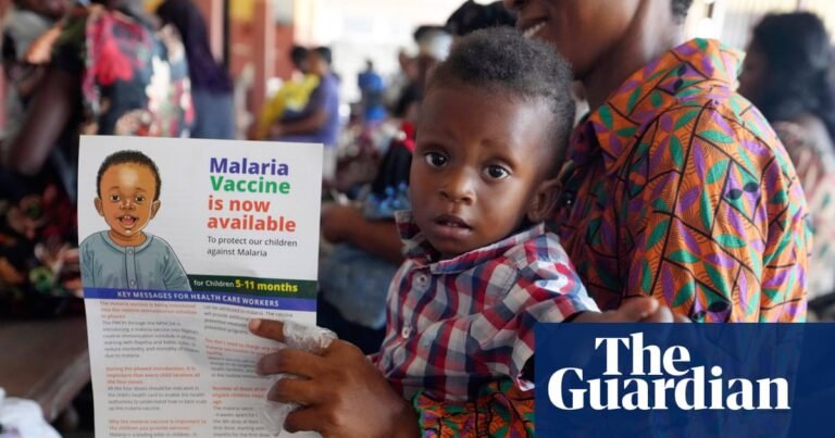 Anti-malaria funding cuts could lead to ‘deadliest resurgence ever’, study warns | Global health
